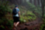 Smarts Brook Loop