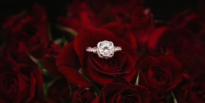 round brilliant diamond ring on a red rose
