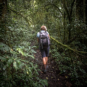 Outdoor Excursions | Caribbean VIP