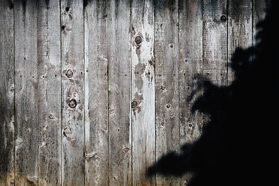 Image by Tim Mossholder