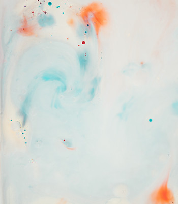 Image by Annie Spratt