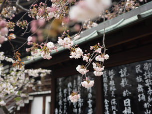 Soul searching in Japan