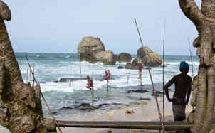 Gay tours to Sri Lanka