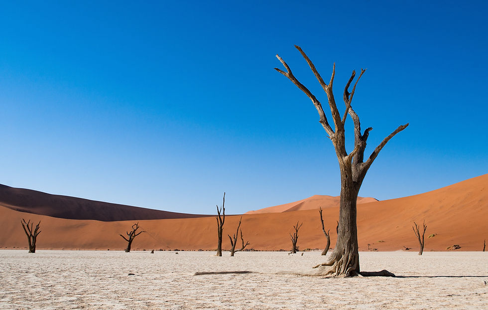 DeadVlei en Namibie