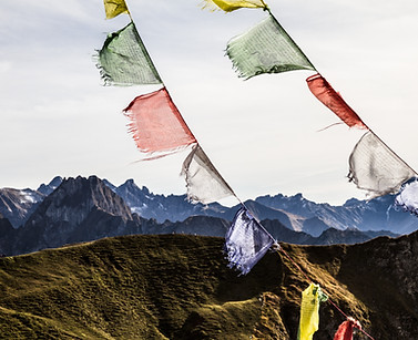 Image by Linus Mimietz