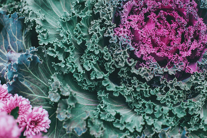 Image by Orlova Maria