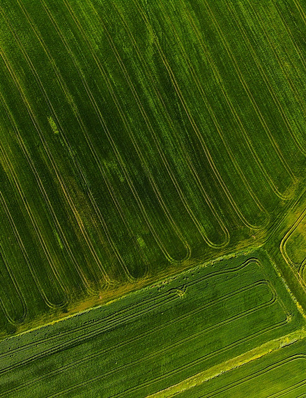 Image by Hakan Yalcin