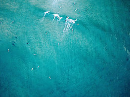 Image by Josh Withers