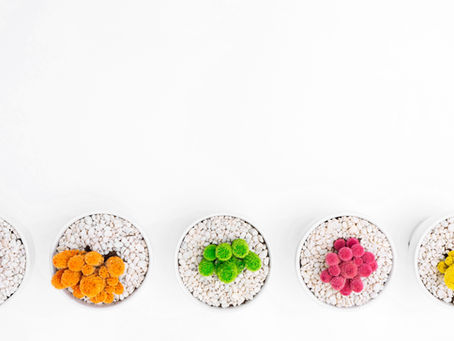 Cute DIY Planters