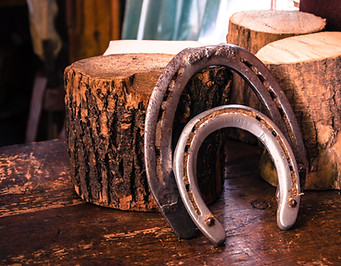 Horseshoes at Mathews Equine