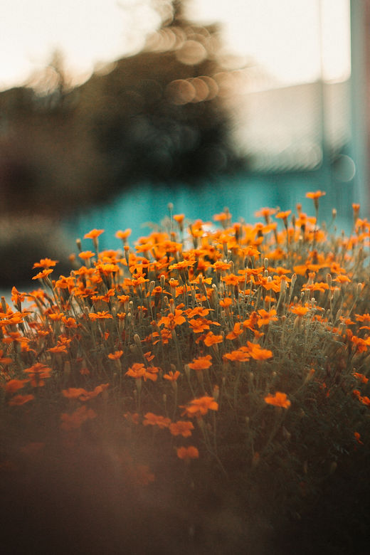Image by Kristaps Solims