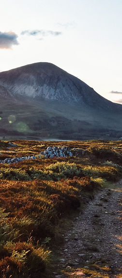 Image by Tomas Robertson
