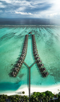 Image by Shifaaz shamoon