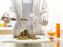 mulher em laboratório fanalisando própolis