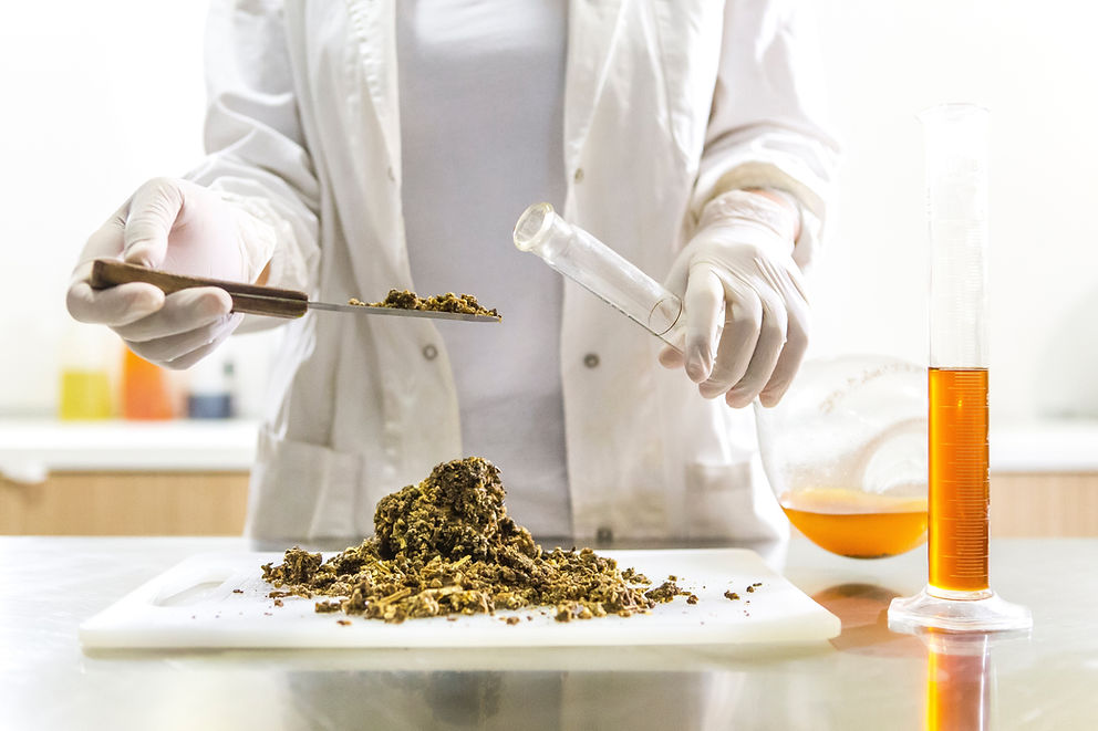 nutrition scientist