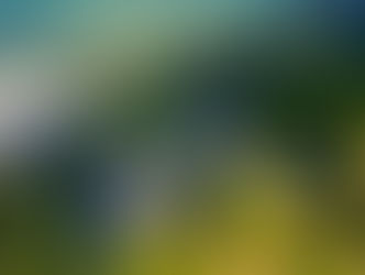 A riqueza da biodiversidade brasileira