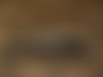 Soccer Player Seeks 'Babysitter' for His Crocodiles