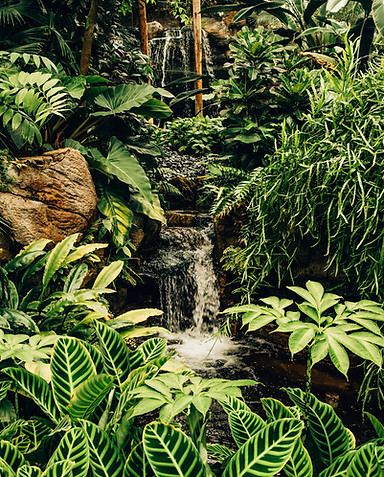 Image by Kyle Cleveland