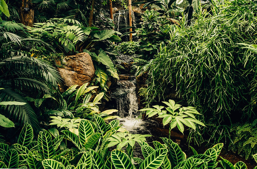 Image by Kyle Cleveland
