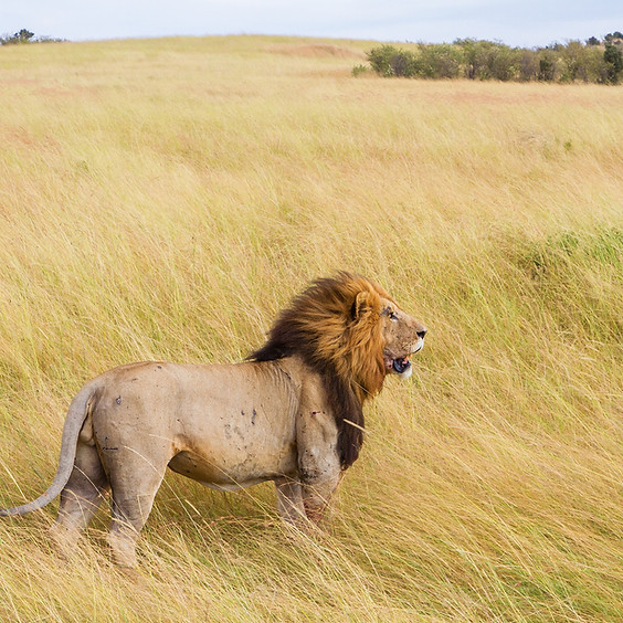 Tanzania & Zanzibar