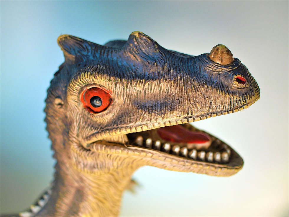 Kid's Night Out--Dinosaurs