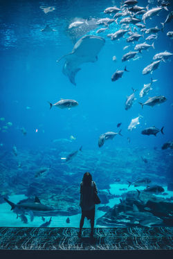 Image by Ian Schneider