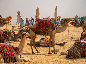 Ассоциация туроператоров России: скидки в Египте уже достигают 60%