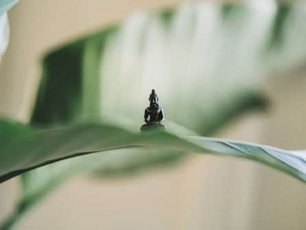 Replacing Intention with Recognition and Realization