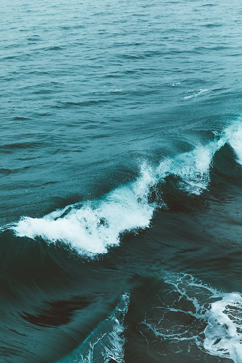 Image by Nathan Dumlao