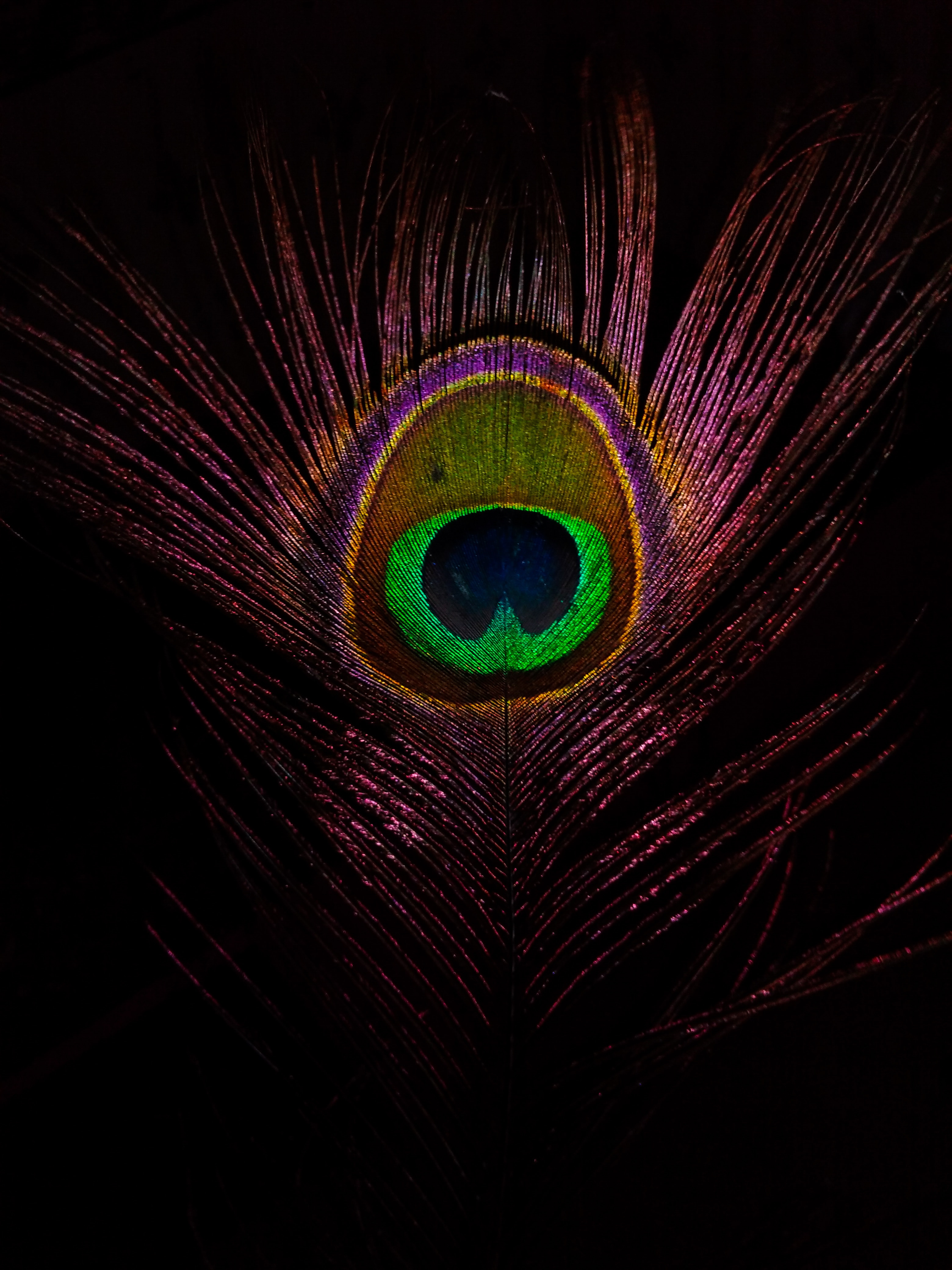 Image by Ayush Tiwari