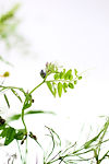 Image by Katrin Hauf