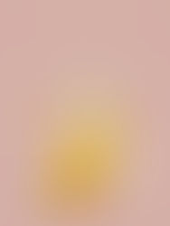 Impotência Sexual (disfunção erétil)