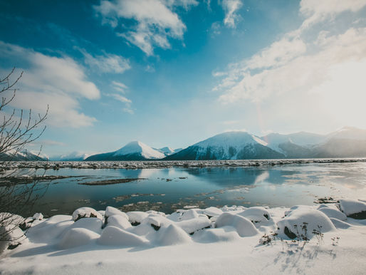 Cruising to Alaska: Wild Beauty, Glaciers, and Unforgettable Adventure