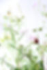 Image by Katrin Hauf