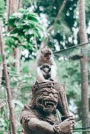 Image by Kutan Ural