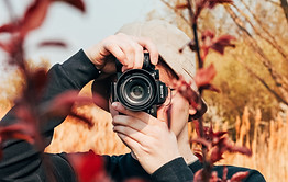 Image by Paul Siewert