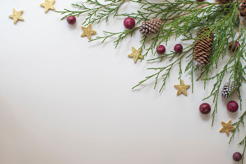 Image by Davies Designs Studio