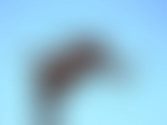 21 Eylül akşam saatlerinde meydana gelecek Başak burcundaki Güneş tutulması tüm burçları farklı şekillerde etkiliyor. Gelin, yakından bakalım ;)