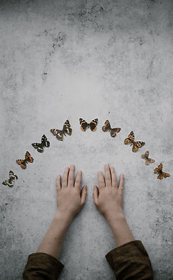 Image by Annie Spratt