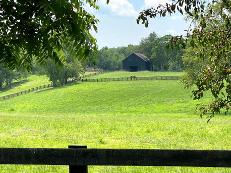 Kentucky Rolling Hills