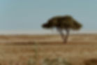 Image by Dagmar Manakos