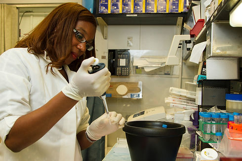 Image by National Cancer Institute