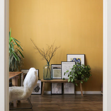 Peinture intérieure