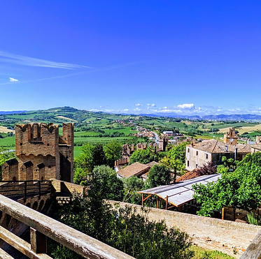 Image by Matteo Panara