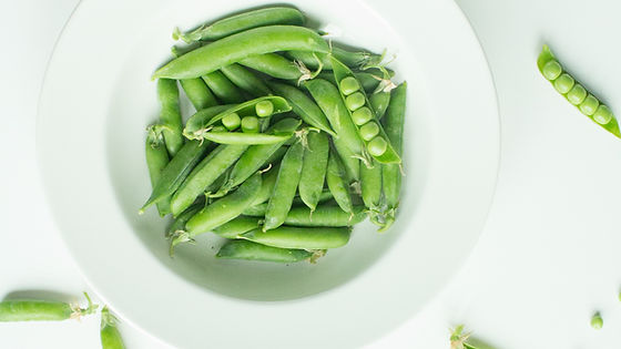 Provence (Container Variety)