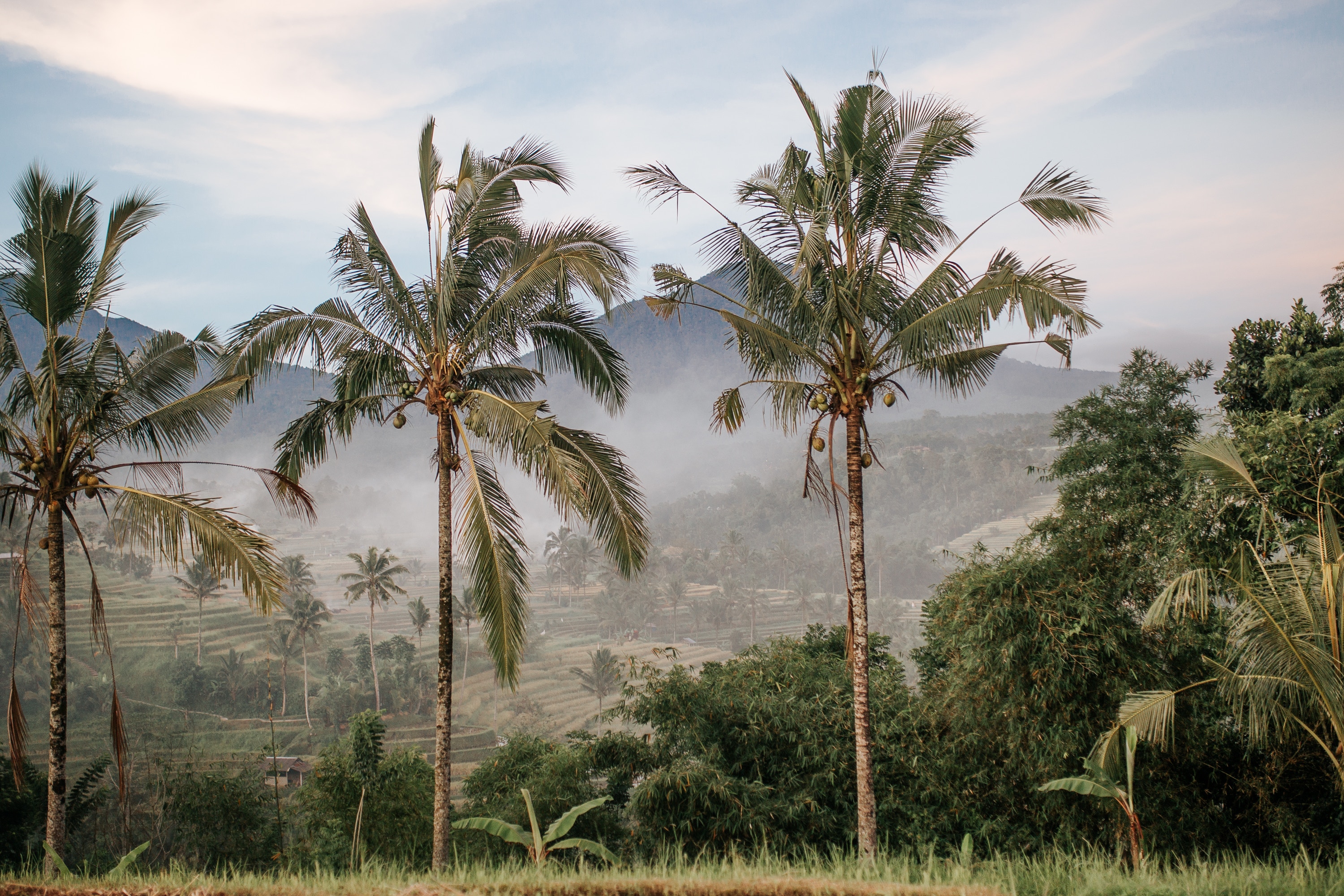 Bali Getaway: A Tropical Escape — photo 4