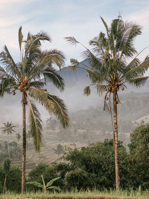 Deutschsprachiges Bali Yoga Retreat, Island of the Gods, 01. - 10. April 2025, Ohana Yoga Studio, Elisabeth Lorbeer