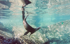 Image by Matthew T Rader