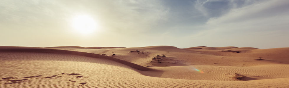 Nature and Landscape