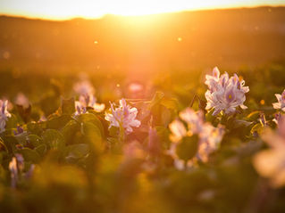 Vitamin D: how to get enough of it